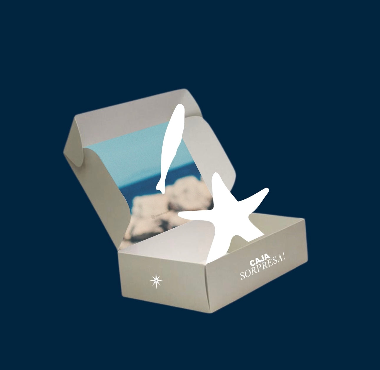 Caja Sorpresa